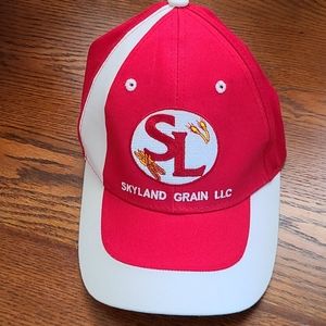 Skyland Grain Baseball Cap